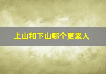 上山和下山哪个更累人