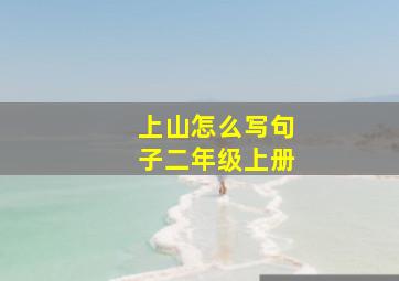 上山怎么写句子二年级上册