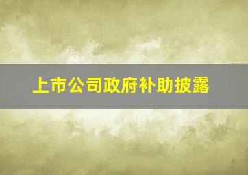 上市公司政府补助披露