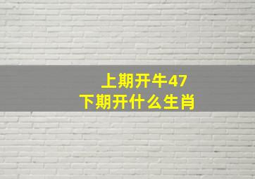 上期开牛47下期开什么生肖