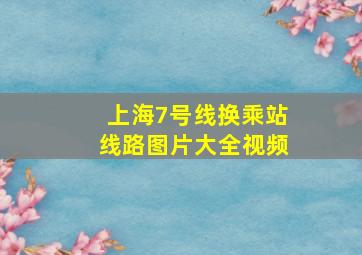 上海7号线换乘站线路图片大全视频