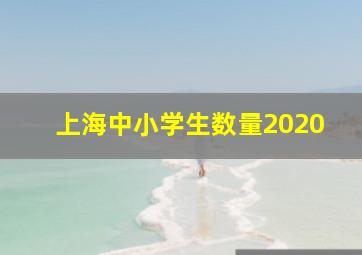 上海中小学生数量2020