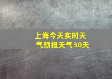 上海今天实时天气预报天气30天