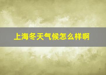 上海冬天气候怎么样啊