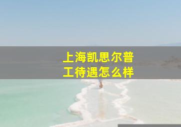 上海凯思尔普工待遇怎么样