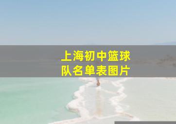 上海初中篮球队名单表图片