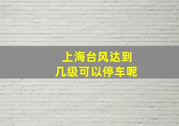 上海台风达到几级可以停车呢