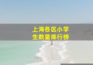 上海各区小学生数量排行榜