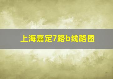 上海嘉定7路b线路图