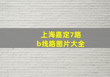 上海嘉定7路b线路图片大全