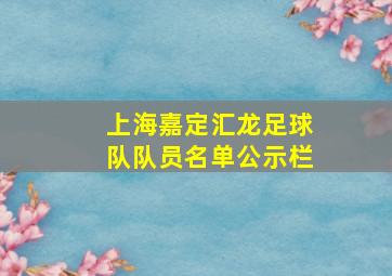 上海嘉定汇龙足球队队员名单公示栏