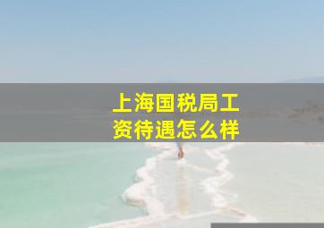 上海国税局工资待遇怎么样