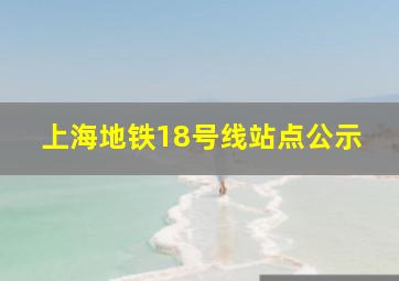 上海地铁18号线站点公示