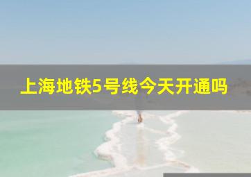 上海地铁5号线今天开通吗