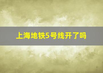 上海地铁5号线开了吗