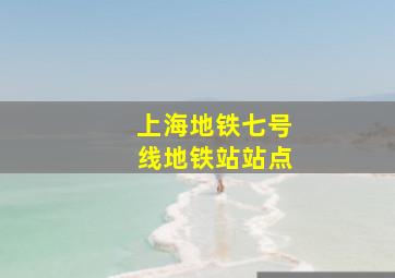 上海地铁七号线地铁站站点