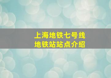 上海地铁七号线地铁站站点介绍