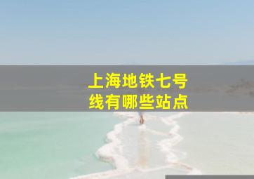 上海地铁七号线有哪些站点