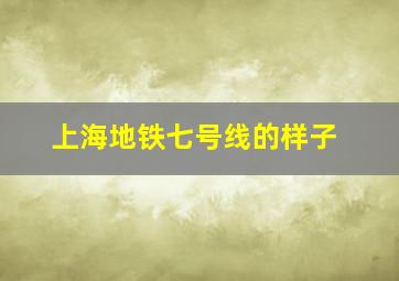 上海地铁七号线的样子