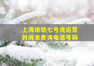 上海地铁七号线运营时间表查询电话号码