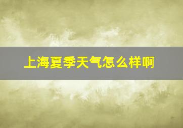 上海夏季天气怎么样啊