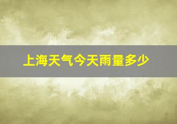 上海天气今天雨量多少