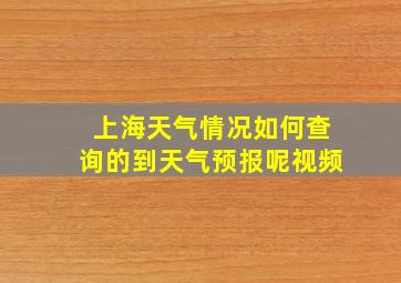 上海天气情况如何查询的到天气预报呢视频