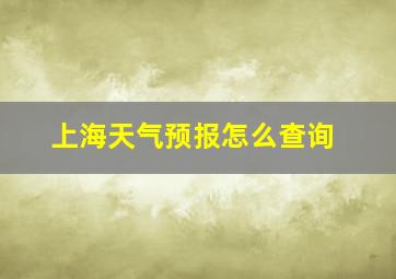 上海天气预报怎么查询