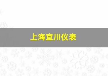 上海宜川仪表