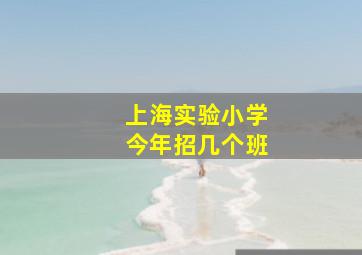 上海实验小学今年招几个班