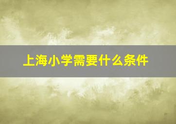 上海小学需要什么条件