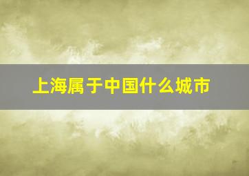 上海属于中国什么城市