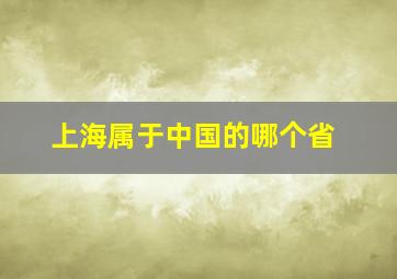 上海属于中国的哪个省