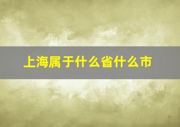 上海属于什么省什么市