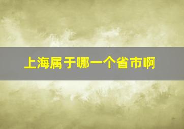 上海属于哪一个省市啊