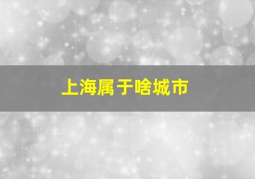 上海属于啥城市