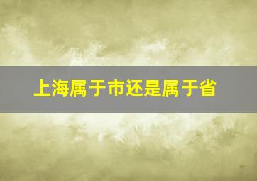 上海属于市还是属于省