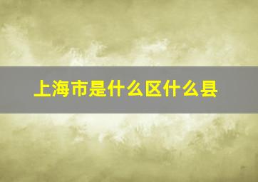 上海市是什么区什么县