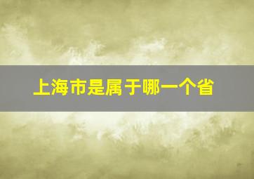 上海市是属于哪一个省