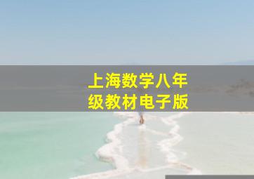 上海数学八年级教材电子版