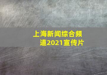 上海新闻综合频道2021宣传片