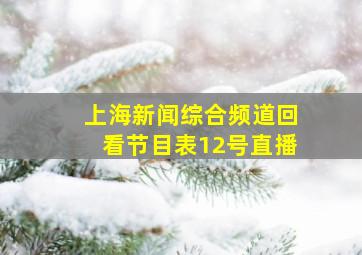 上海新闻综合频道回看节目表12号直播