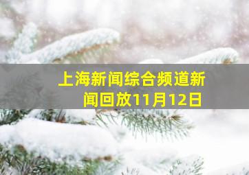 上海新闻综合频道新闻回放11月12日