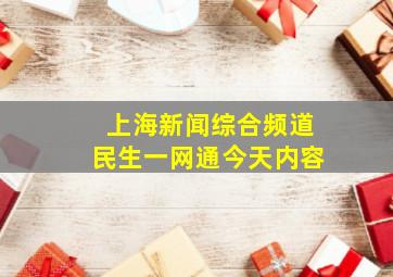 上海新闻综合频道民生一网通今天内容