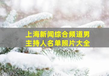 上海新闻综合频道男主持人名单照片大全