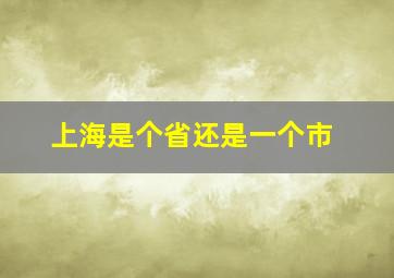 上海是个省还是一个市