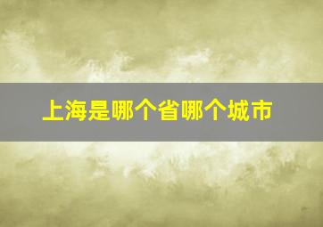 上海是哪个省哪个城市