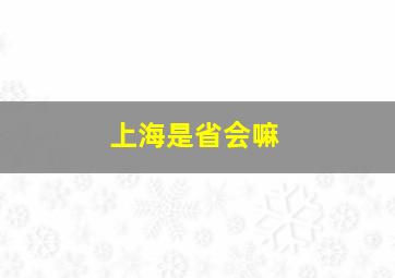 上海是省会嘛