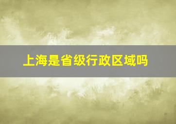 上海是省级行政区域吗