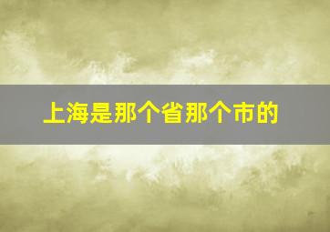 上海是那个省那个市的